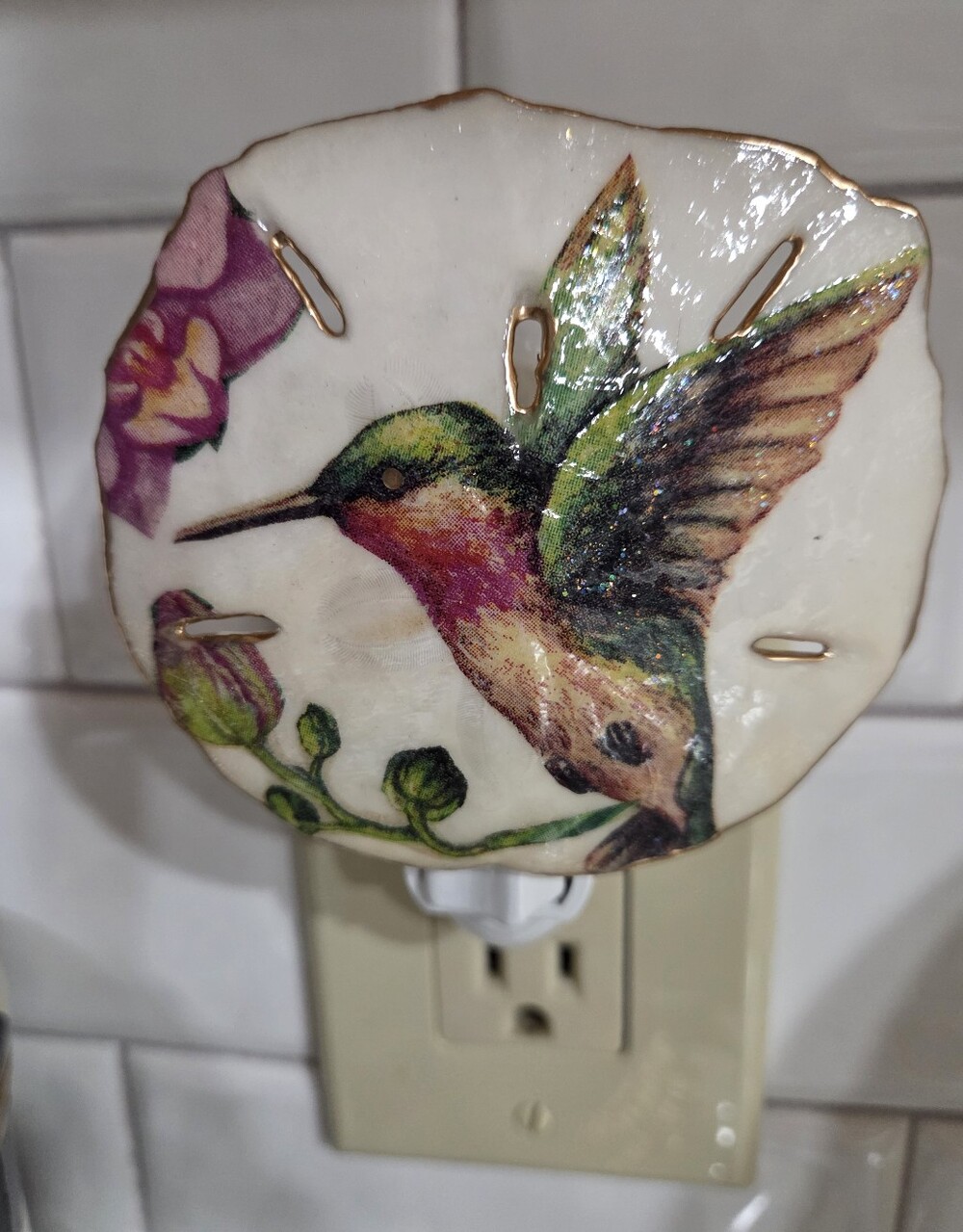 Handcrafted Unique One Of A Kind Hummingbird Sand Dollar Nite Light